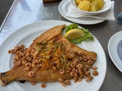 -NORDSEE Frankfurt Fisch Franke