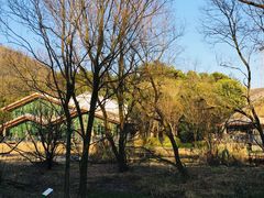 -西湖风景区-江洋畈生态公园