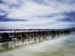 -青海茶卡盐湖文化旅游发展股份有限公司