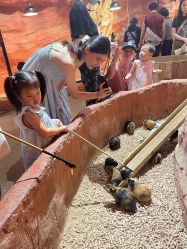 -Zoolung Zoolung动物主题公园(海信广场店)