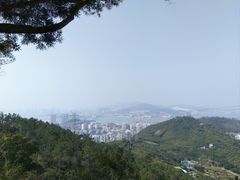 -仙岳公园