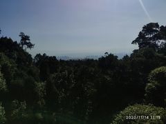 -南山植物园
