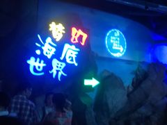 -临沂极地海洋王国