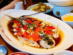 坑小土豆-丹江渔村(望京店)