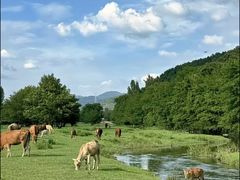 -嵖岈山风景区