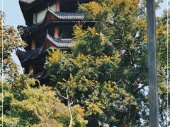 -丰都鬼城名山景区