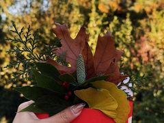 -国家植物园南园