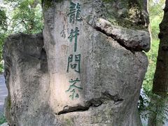 -龙井村