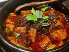 -陈麻婆豆腐(旗舰店)