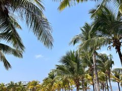 -三亚西岛海洋文化旅游区