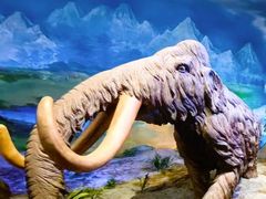 -中国第四纪冰川遗迹陈列馆