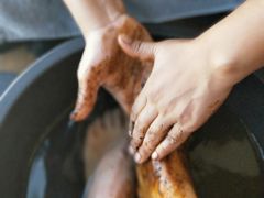 -ventus spa 沙巴亚庇正宗精油按摩会所