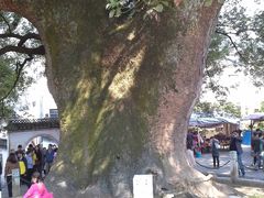 -新安江山水画廊风景区