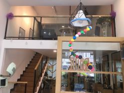 -章光101养发生发防脱发