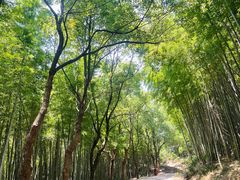 -达蓬山旅游度假区