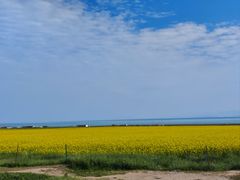 -青海湖国家重点风景名胜区
