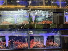-真浪花园海鲜餐馆