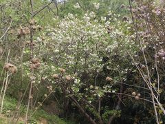 -敬亭山风景名胜区