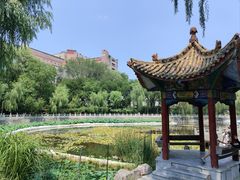 -文瀛公园