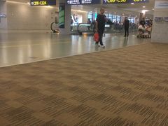 -上海浦东国际机场-T2航站楼