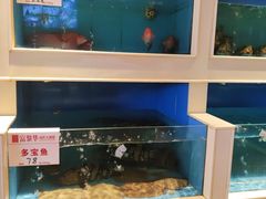 水产区-富黎华海鲜大酒楼(正大广场店)
