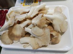 平菇-古乐牛香·鲜牛肉牛杂火锅(吴江三里桥运东商业广场店)