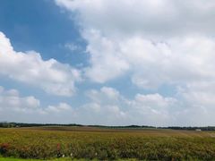 -南京枫彩漫城