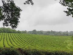 -敬亭山风景名胜区