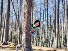 -硗碛藏寨·神木垒景区