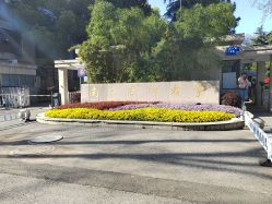 -南京医科大学友谊整形外科医院