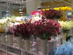 -万达广场(沈阳铁西店)