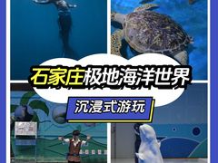 -石家庄极地海洋世界