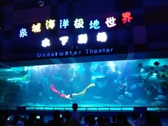 -泉城欧乐堡海洋极地世界