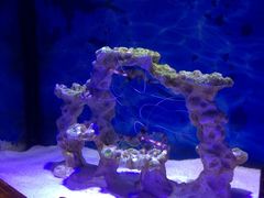 iphone_upload_pic-郑州海洋馆