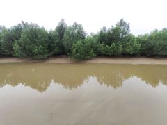 -崖口红树林海鲜餐厅