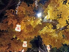 -横店影视城梦幻谷园区