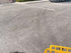 -复旦张江校区食堂