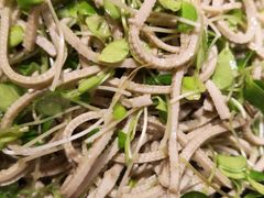 -鑫巴蜀(和平里店)