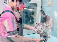 -猫宠乐园·专业洗护