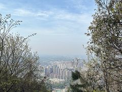 -惠山国家森林公园