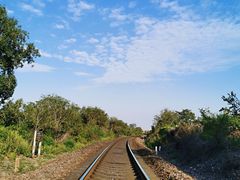 -永定河休闲森林公园