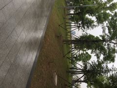 iphone_upload_pic-南翔镇银翔湖公园