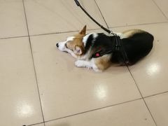 -正宗刘记不翻汤(和园店)