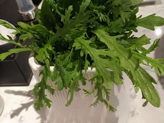 -丁卯•铜锅涮肉(工体店)