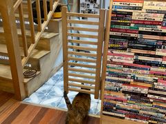 -猫的天空之城概念书店(杭州南宋御街店)