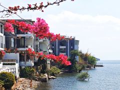 -小普陀