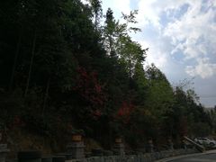 -哒啦仙谷旅游景区