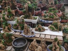 -李村大集