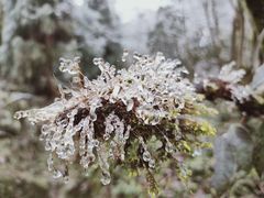 -九峰山