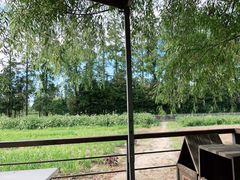 -前小桔亲子创意农场·草莓采摘·露营烧烤